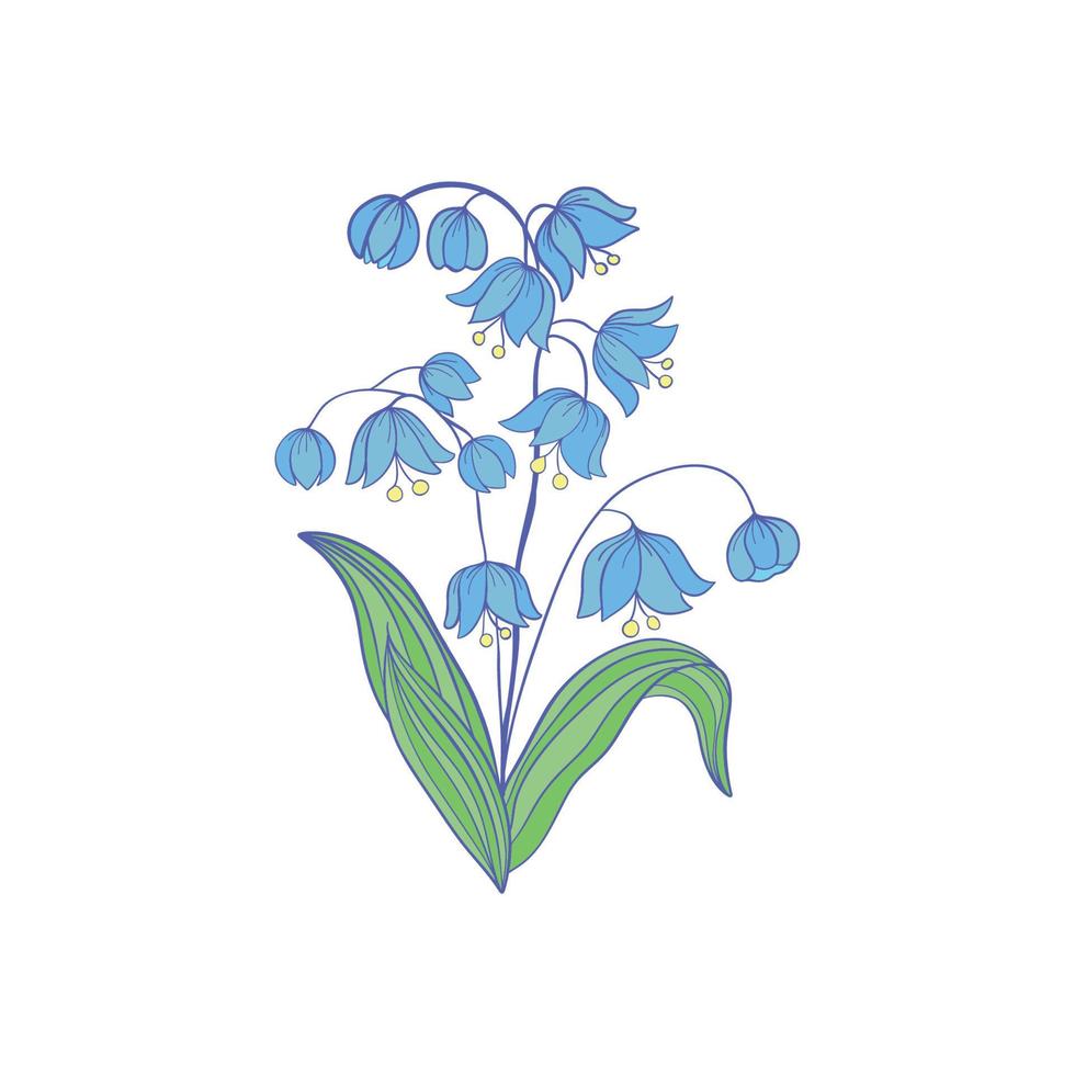 Bell-flowers Campanula - Hand drawn vector illustration of blue bell flowers and buds on white background. Colorful flowers icons set. Vector isolated floral elements.
