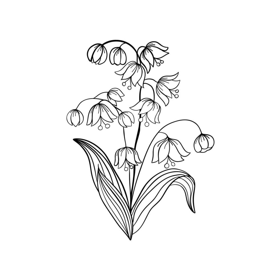 Bell-flowers Campanula - Hand drawn vector illustration of black lines bell flowers and buds on white background. Colorful flowers icons set. Vector isolated floral elements.