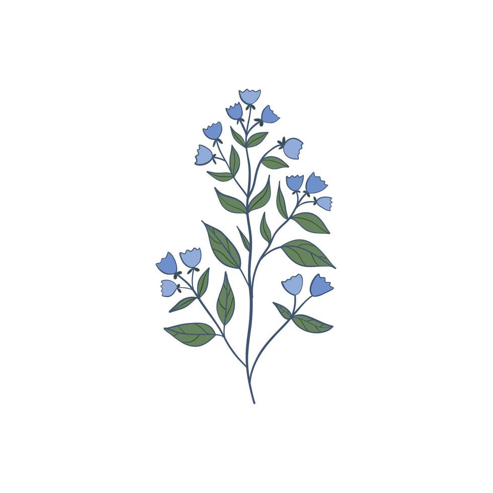 flores de campana campánula - mano dibujado vector ilustración de azul campana flores y brotes en blanco antecedentes. vistoso flores íconos colocar. vector aislado floral elementos.