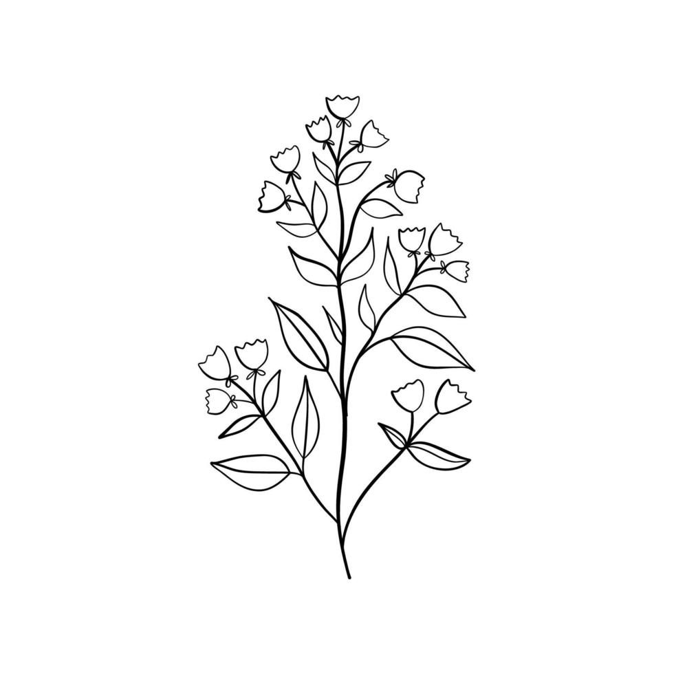 Bell-flowers Campanula - Hand drawn vector illustration of black lines bell flowers and buds on white background. Colorful flowers icons set. Vector isolated floral elements.