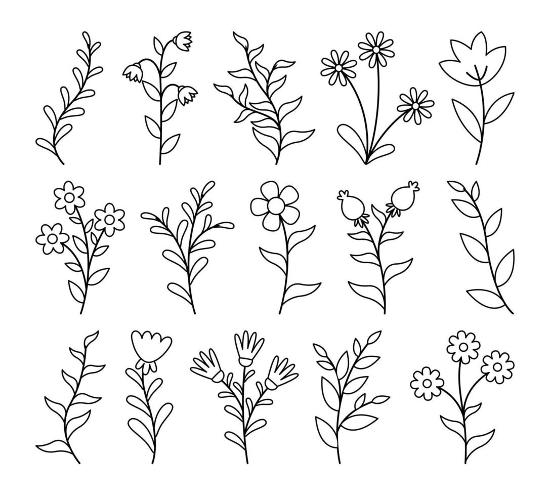 Set of floral elements. Flower collection with leaves. vector