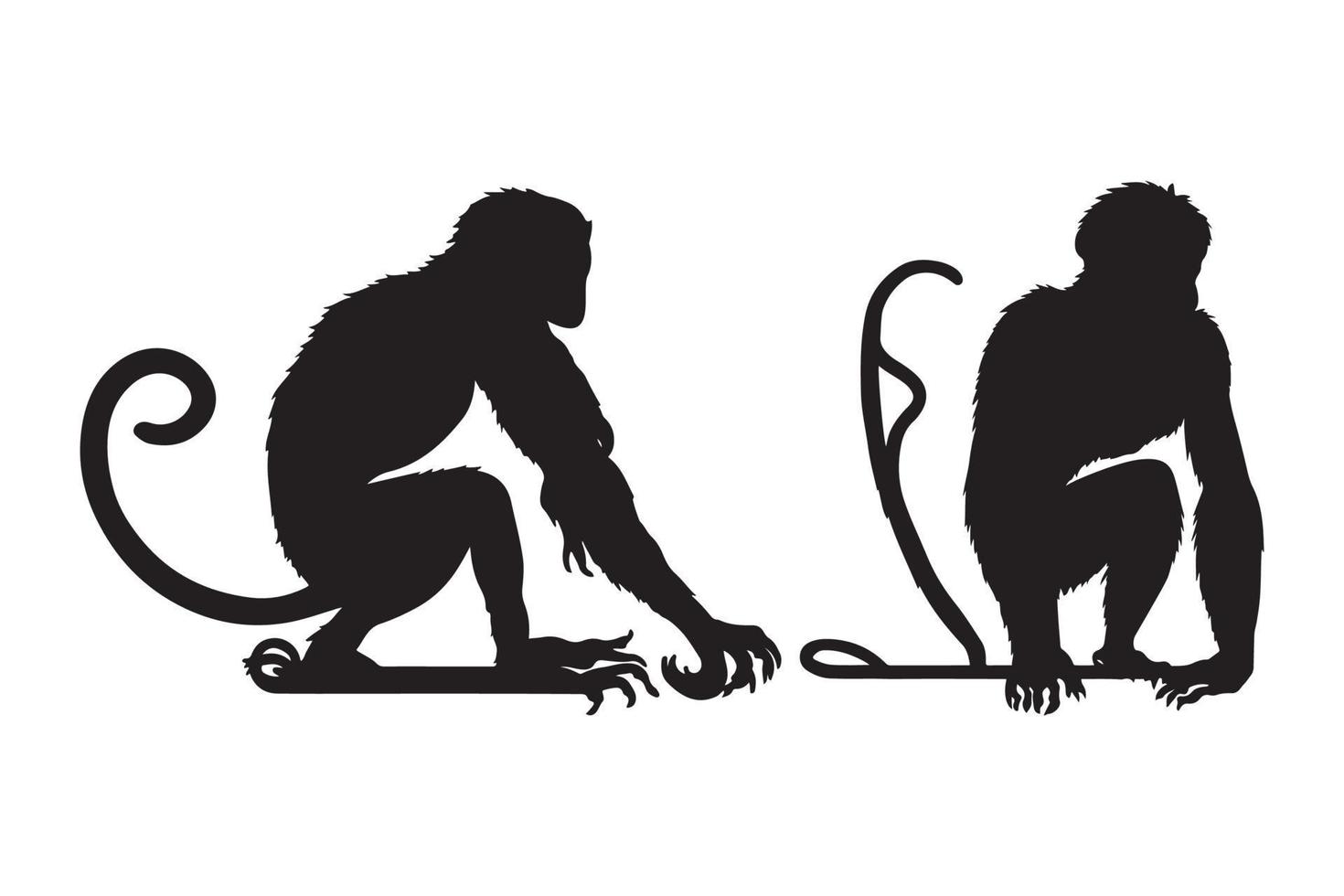 Black silhouette of Monkey. Monkey silhouette vector. vector