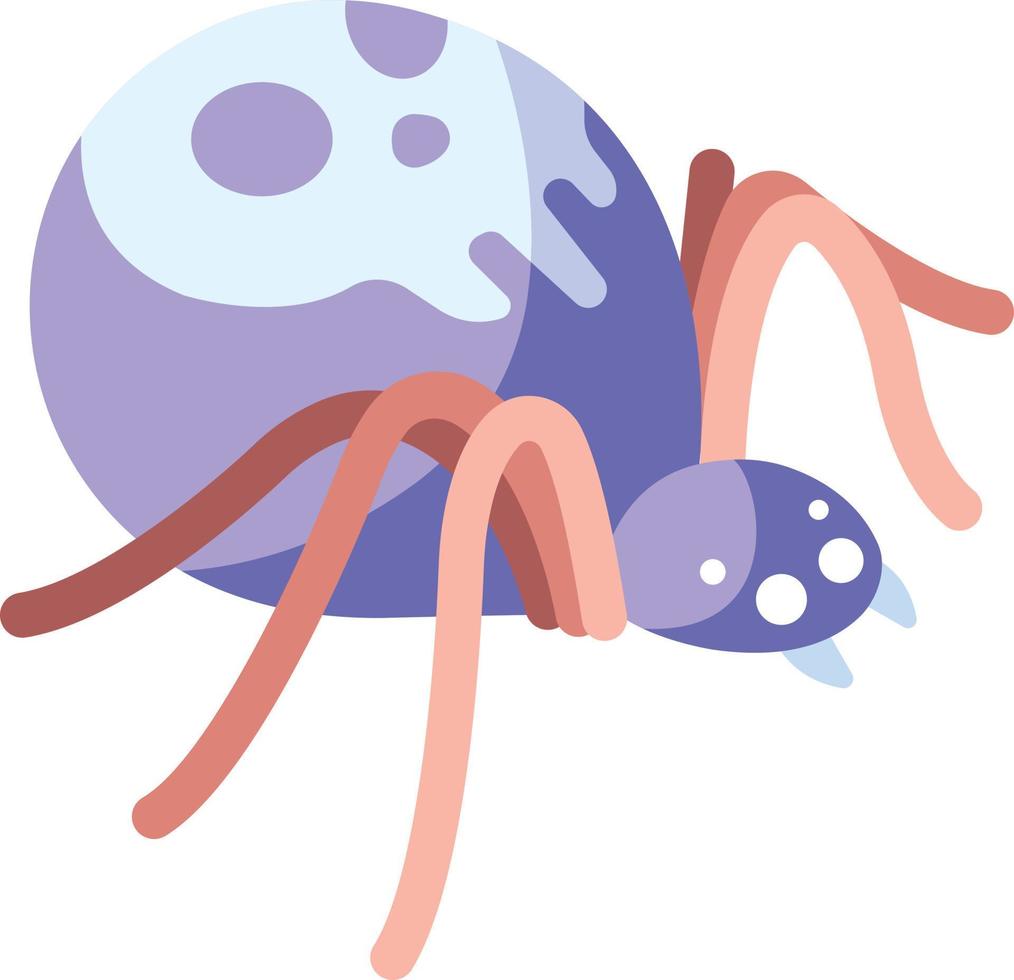 poison spider Illustration Vector