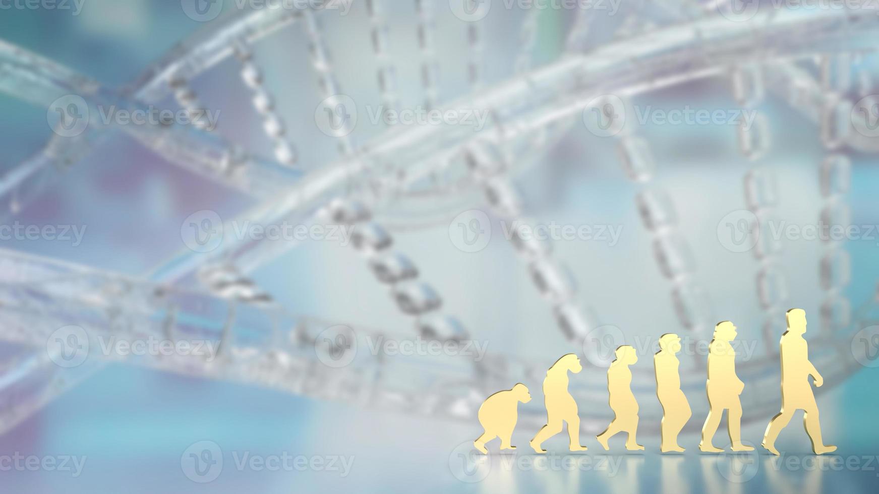 The human evolution image for education or sci concept 3d rendering photo