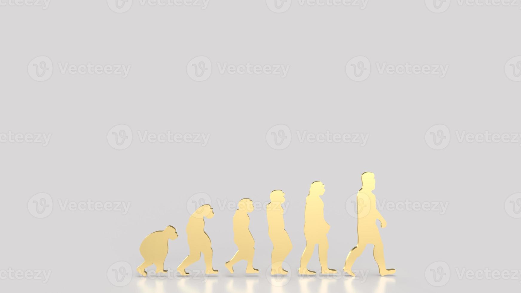 The human evolution image for education or sci concept 3d rendering photo