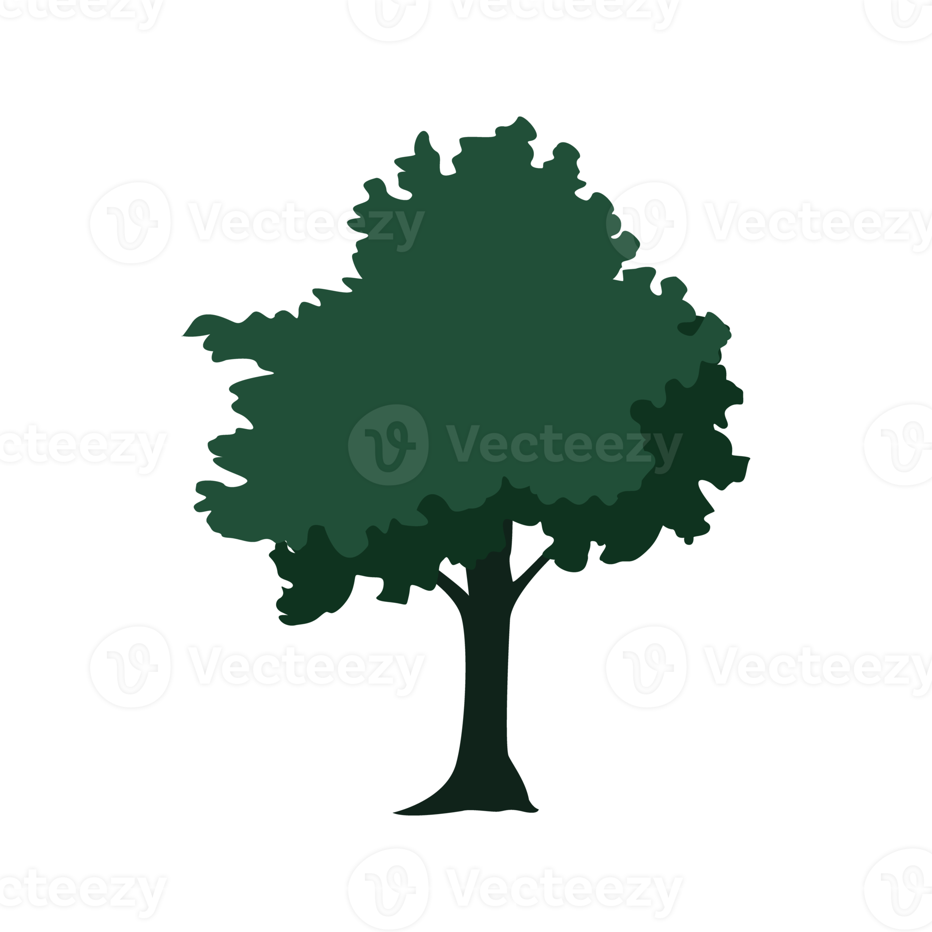 Illustration of trees,easy drawing. 22820391 PNG