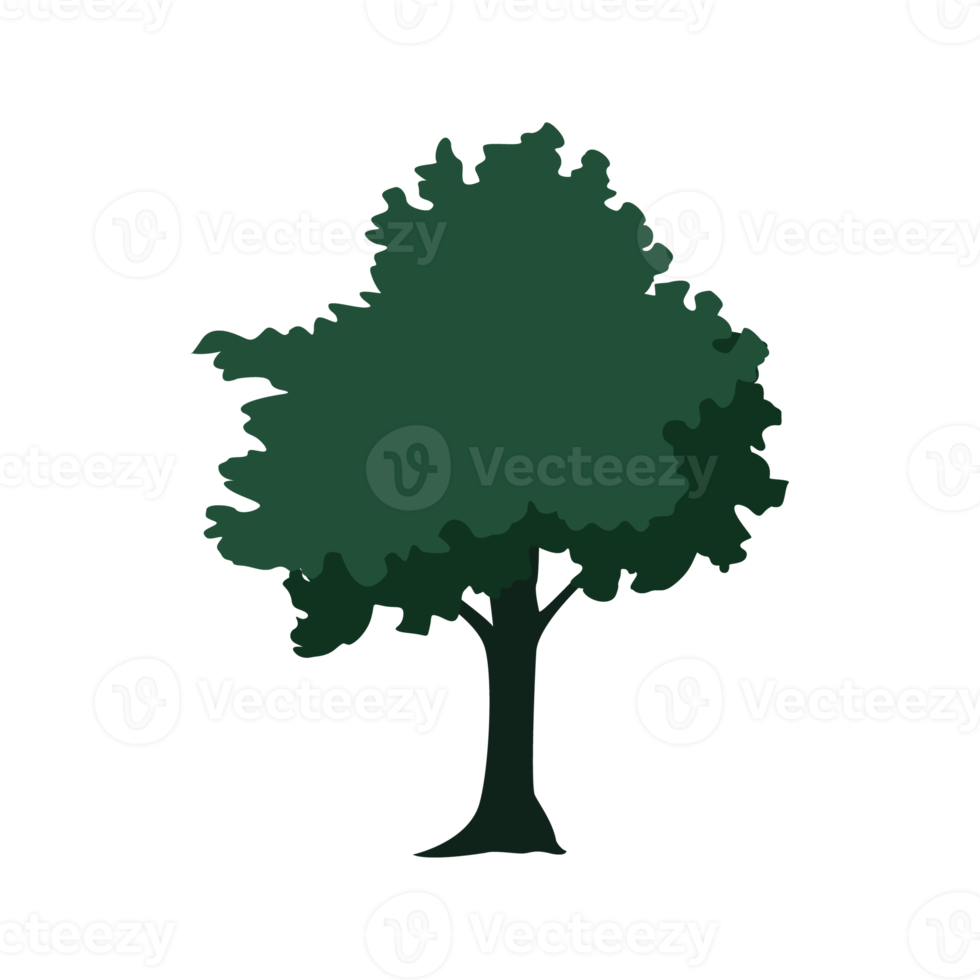 Illustration of trees,easy drawing. png