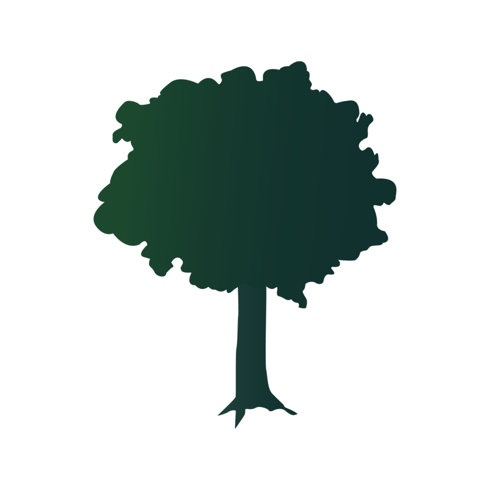 Illustration of trees,easy drawing. png