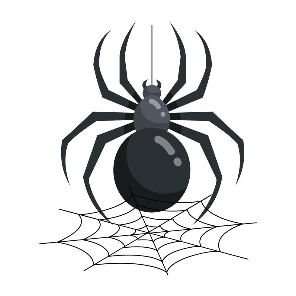 Trendy Spider Web vector