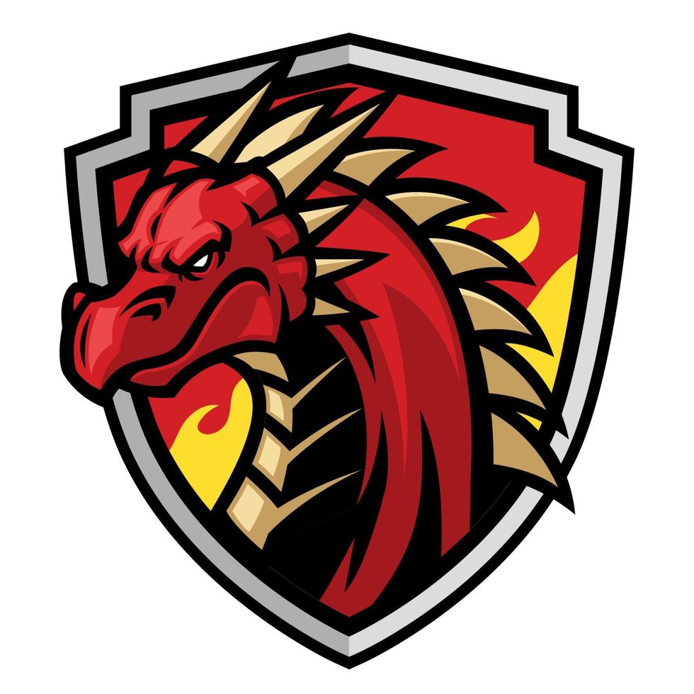 dragon head mascot in shield vector