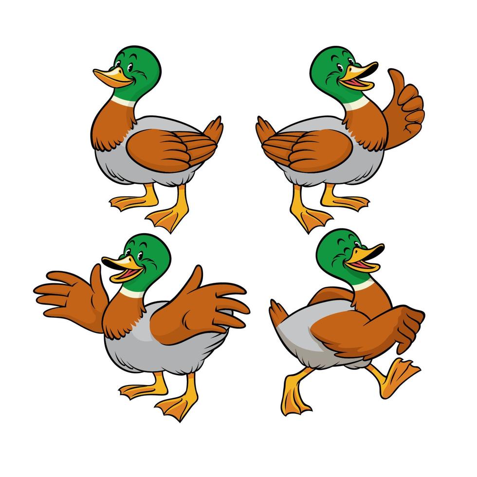 mallard duck with cartoon style vector