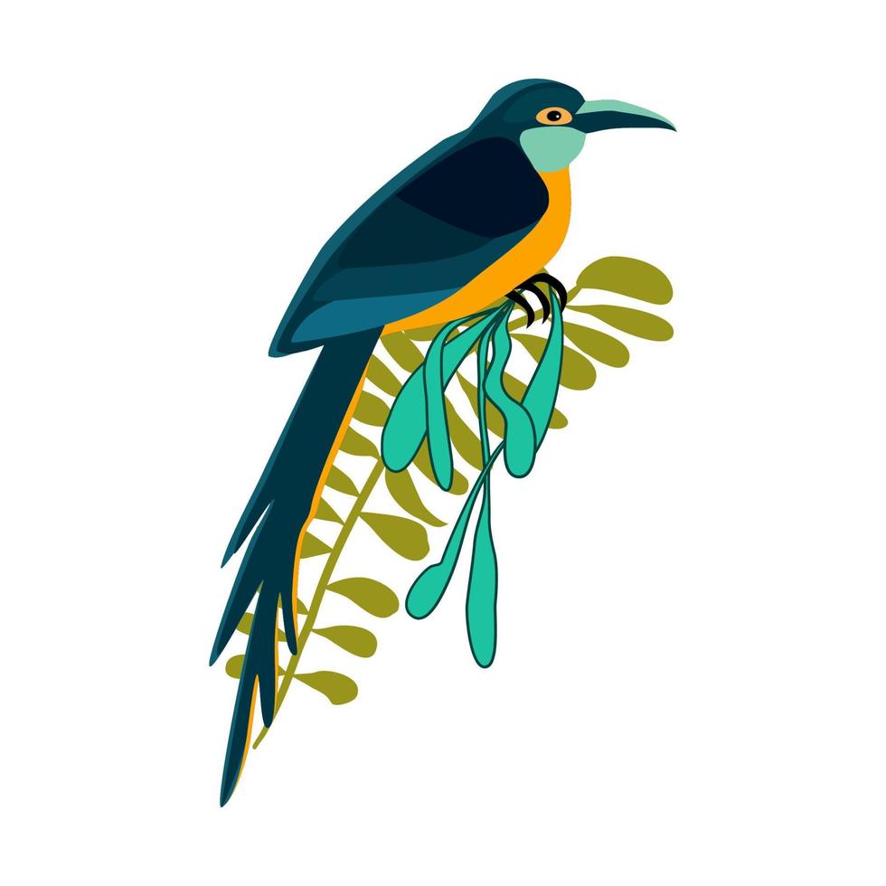 Tropical bird on the branch with rainforest leaves vector