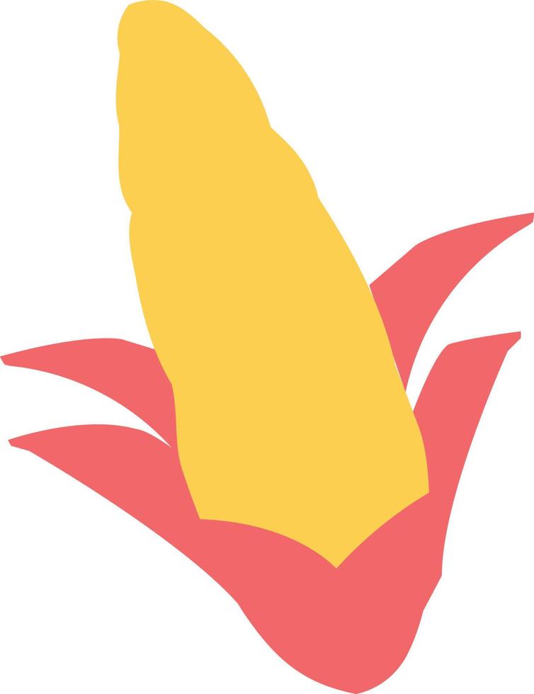 corn Illustration Vector