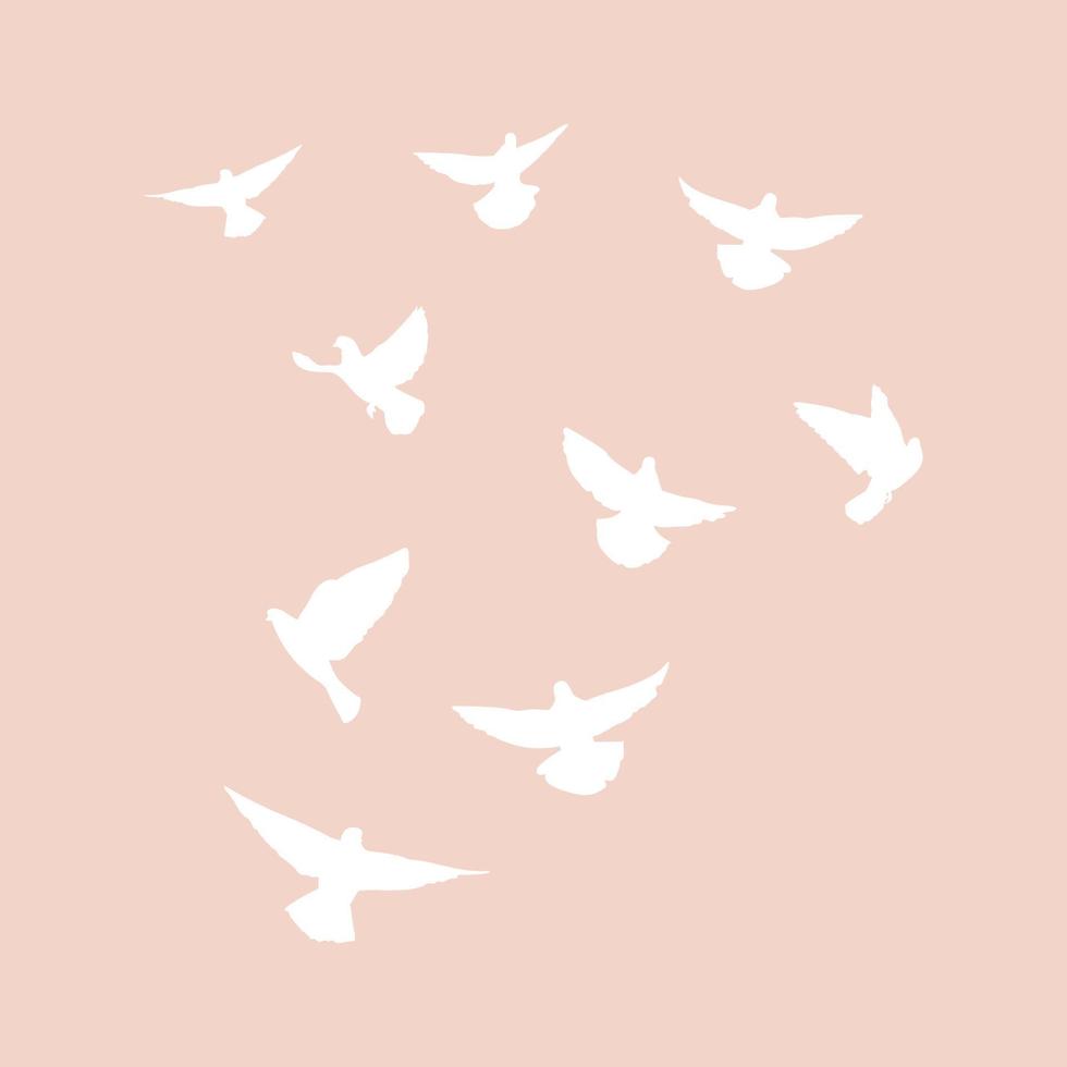 Set of flying pigeons.Silhouette of white doves. Vector illustration