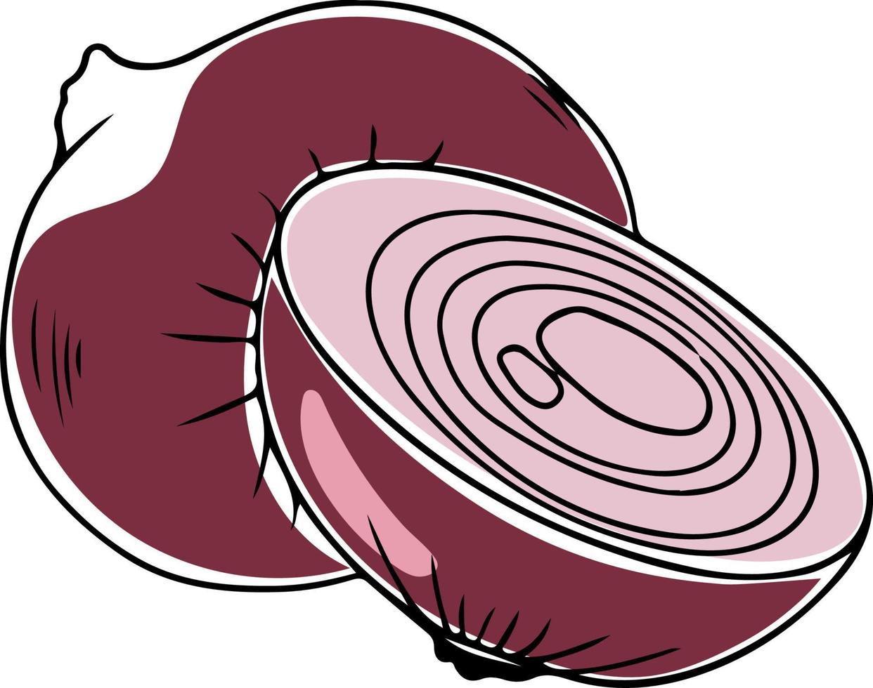 Two vector lineart style red onions whole and halved isolated on white background