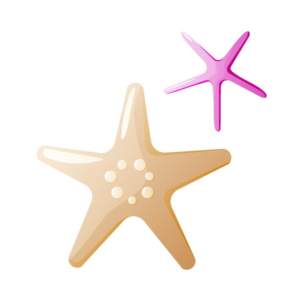 Pink and brown Starfishes  isolated on white background. Elements of design for a travel agency advertising. Vector illustration.