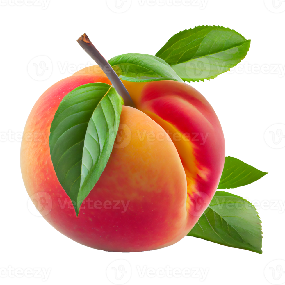 Peach fruit png, Peach on transparent background png