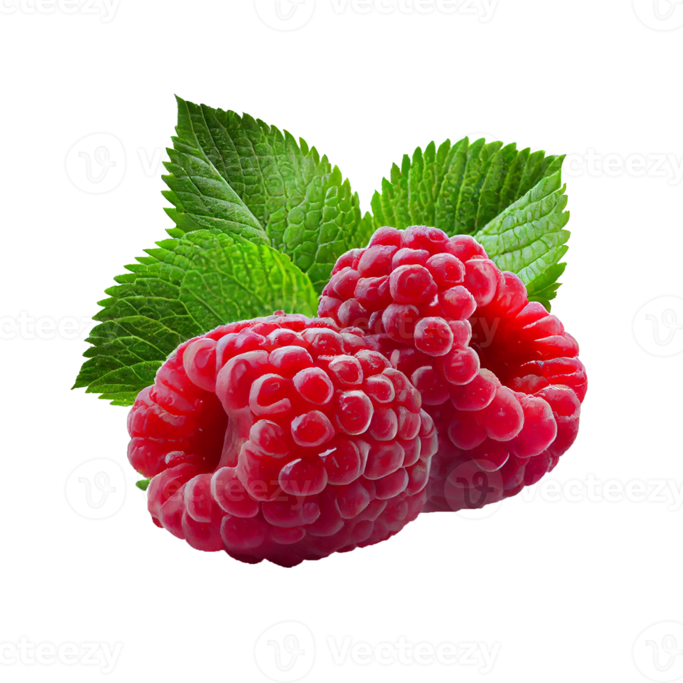 Raspberry fruit png, Raspberries on transparent background png