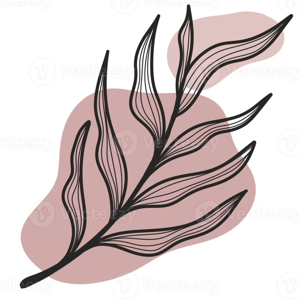 Line Art Leaf png