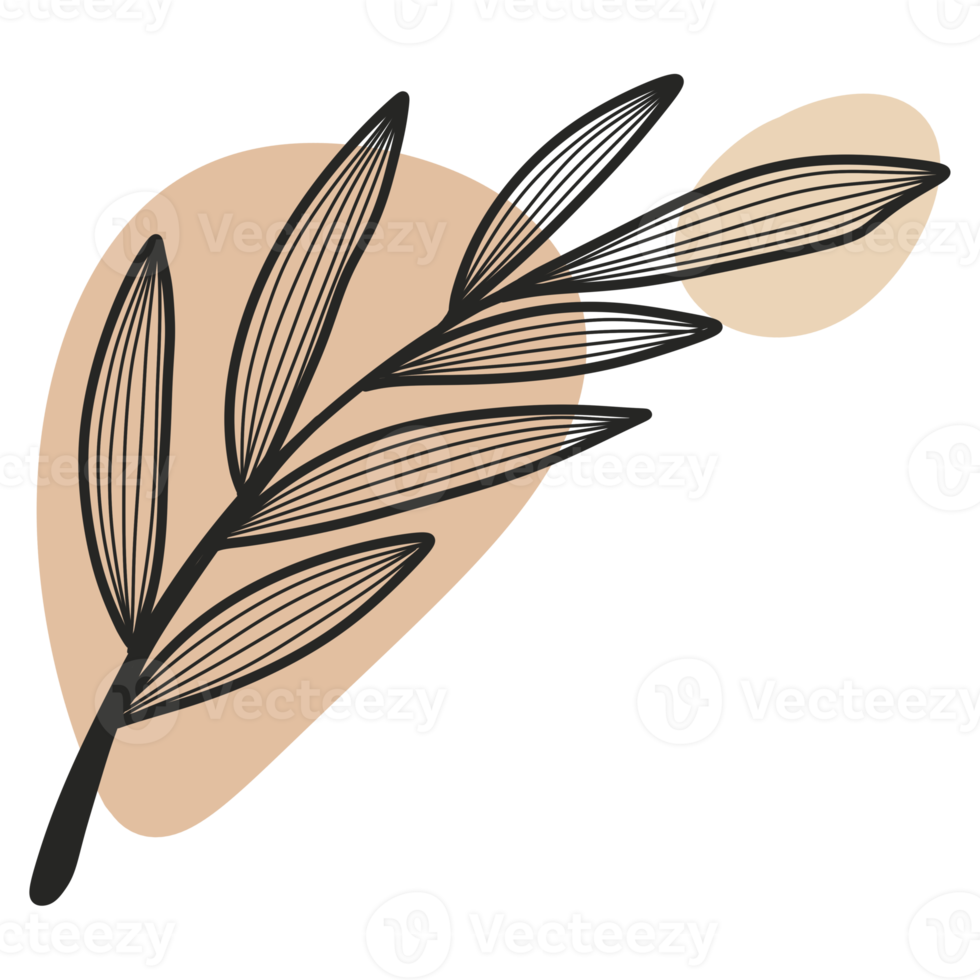 Line Art Leaf png