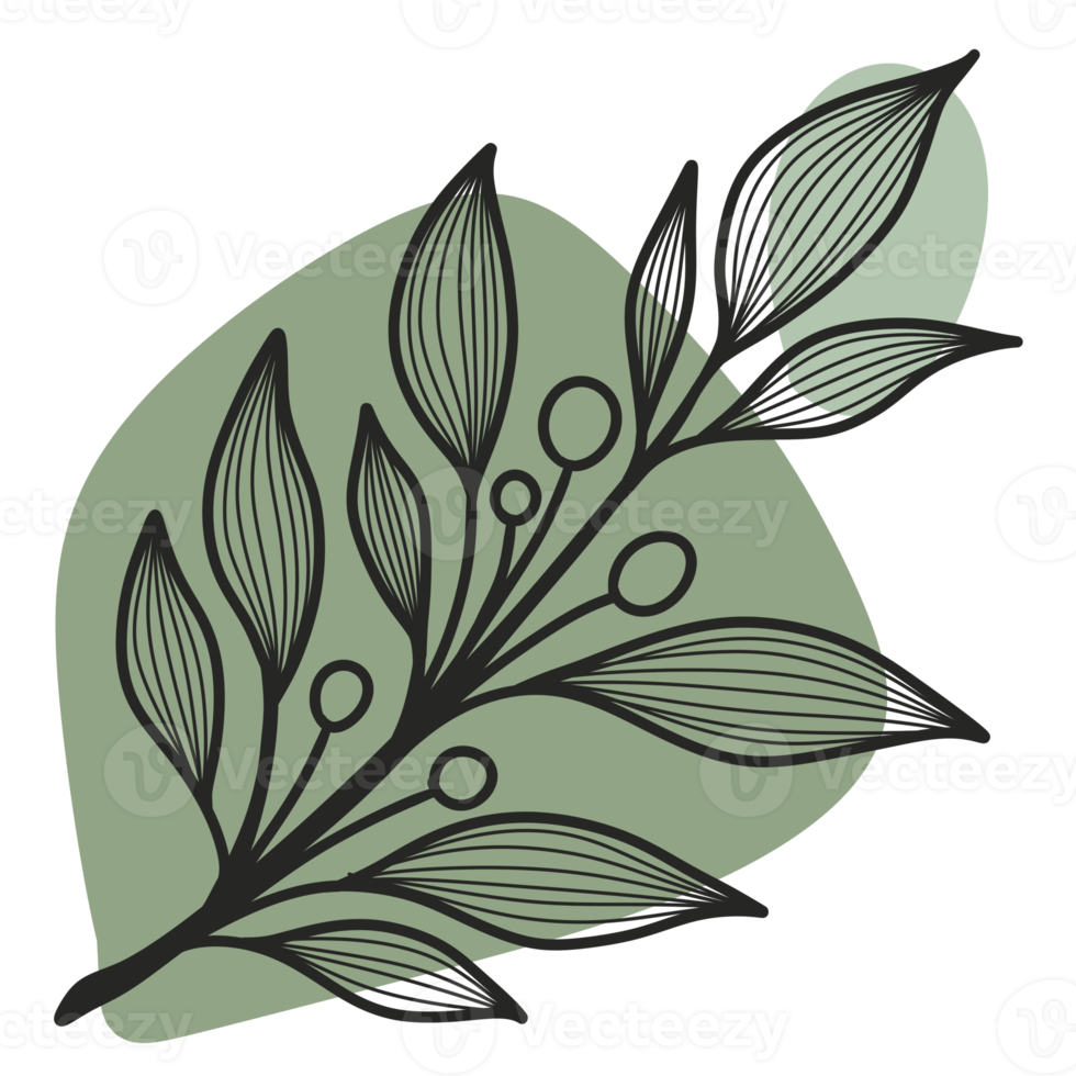 Line Art Leaf png