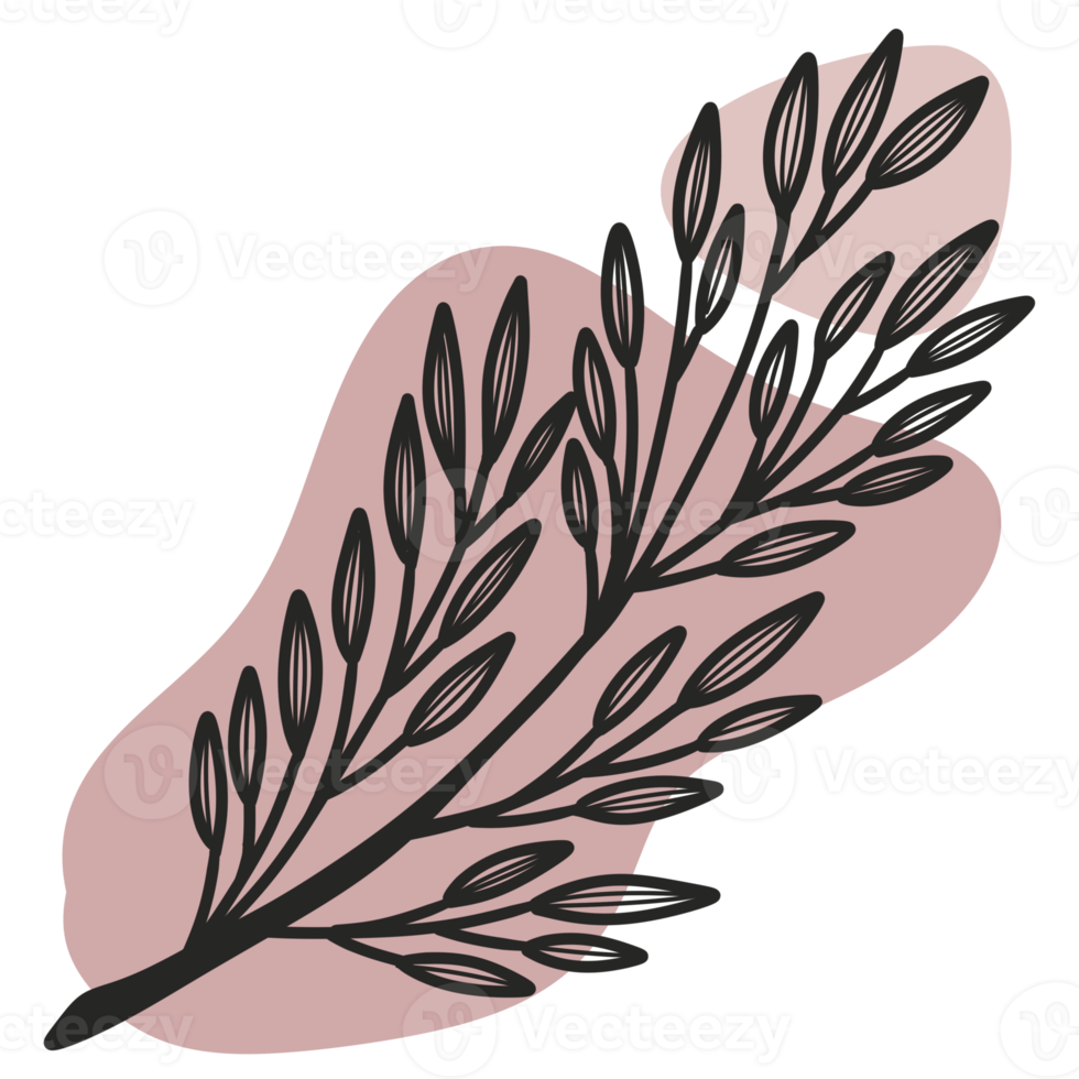 Line Art Leaf png