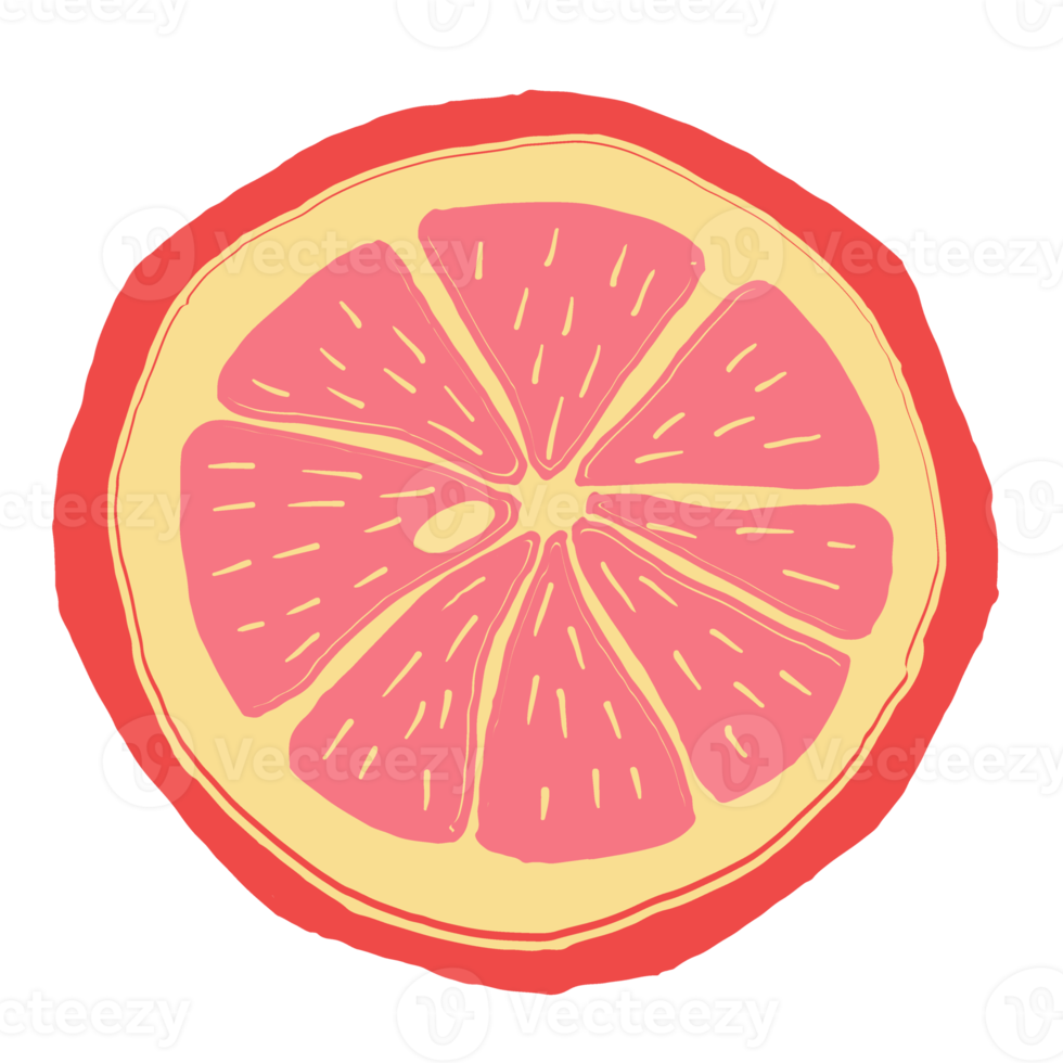 Oranges slices, piece of grapefruit png