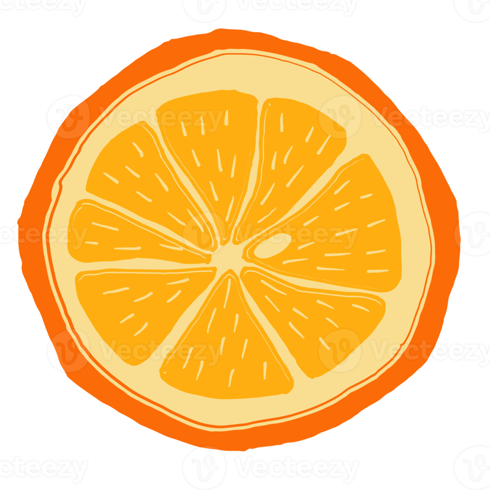 Oranges slices, piece of orange png