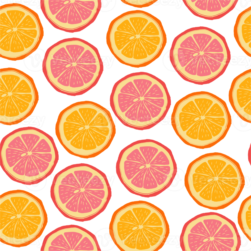 sinaasappels plakjes, grapefruits in klein naar groot maten. png