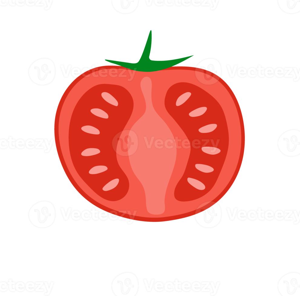 tomat röd färsk med löv. skiva tomat med tomat frön png