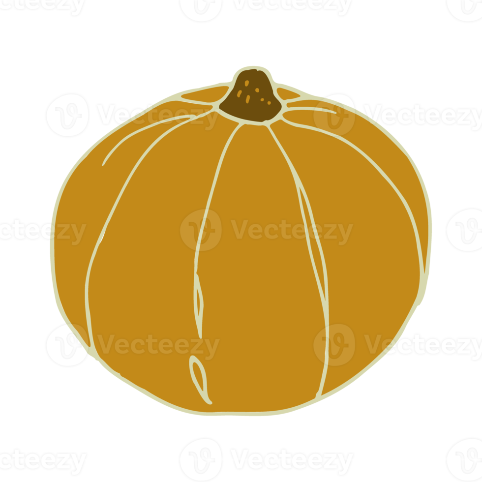Pumpkin isolate, vegetable for Halloween png