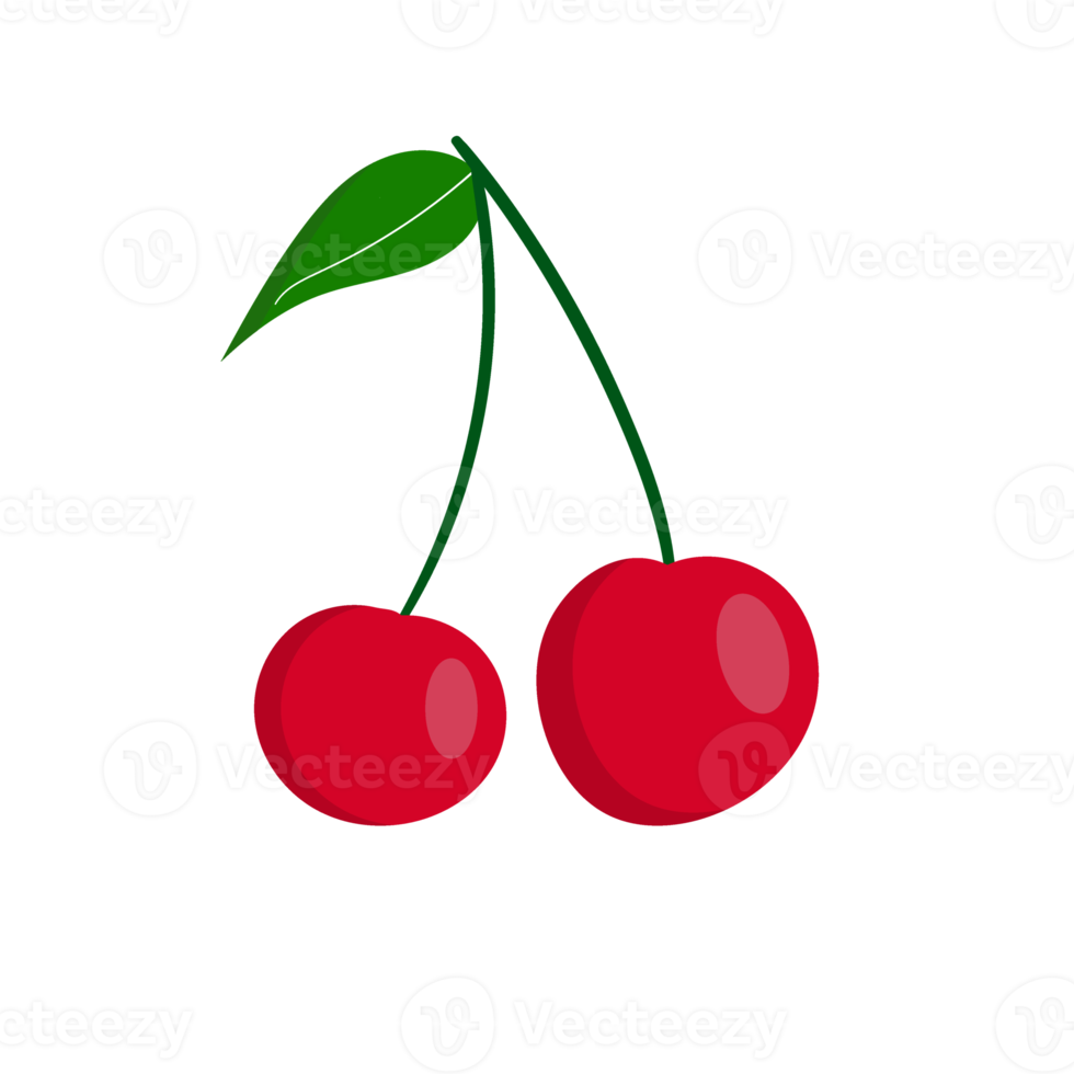 vermelho cereja uma suculento fruta isolado png