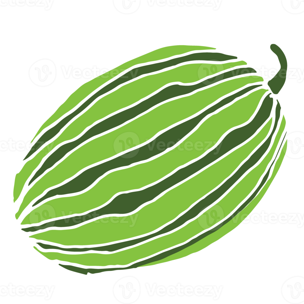 Watermelon isolate hand drawing png