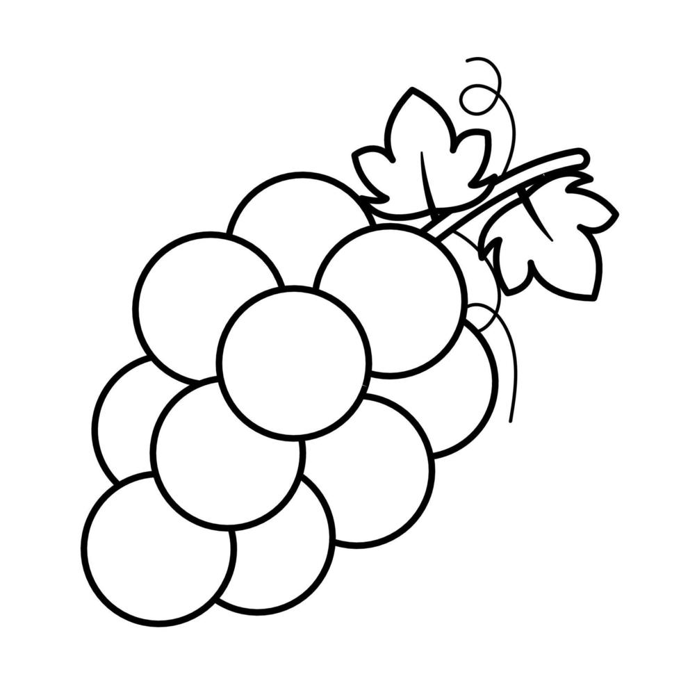 Grapes Line Drawing Icon Fruit Vector Illustration