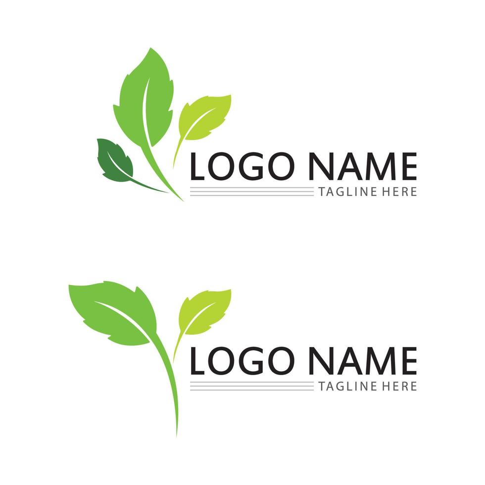 árbol logo icono vector ilustración design.vector silueta de un árbol plantillas de árbol logo y raíces árbol de la vida diseño ilustración