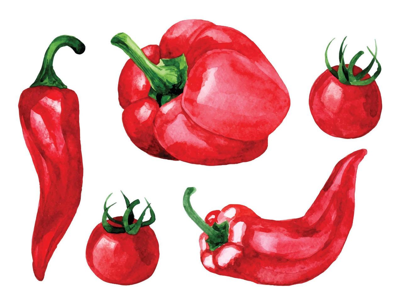 watercolor drawing. set of red vegetables. bell pepper, chili pepper, cherry tomatoes vector