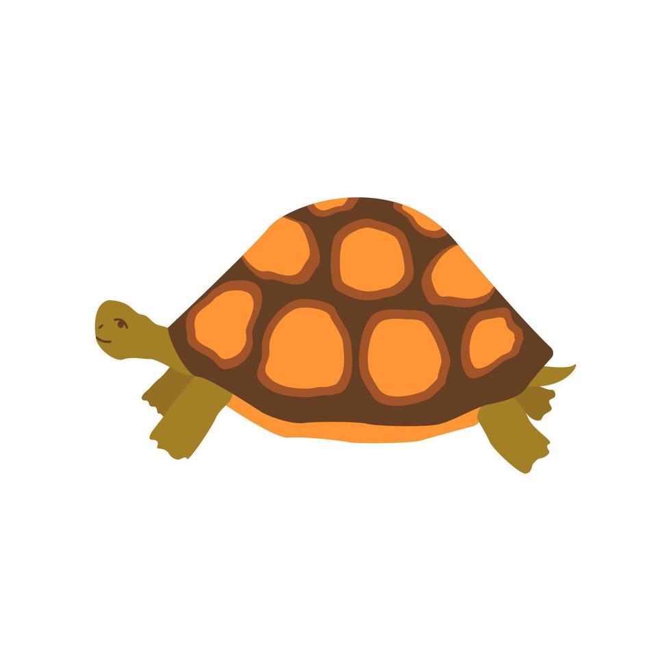 linda contento tortuga. vistoso vector aislado mano dibujado