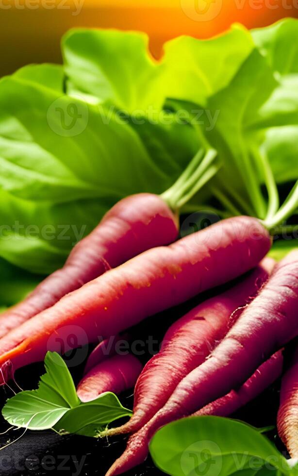 The Purple Carrot Background with Technology photo