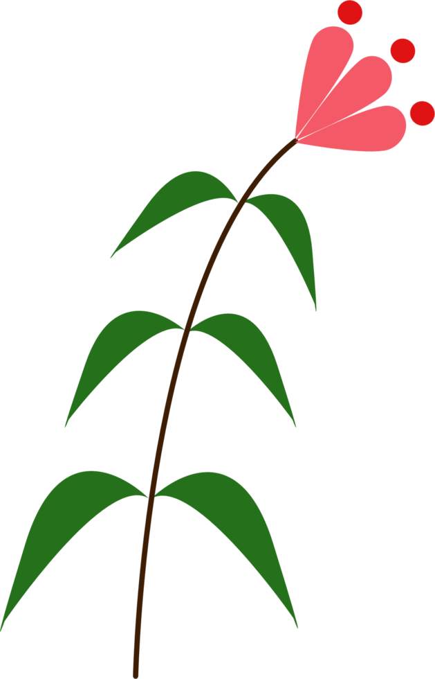 minimal botanisch Blume png