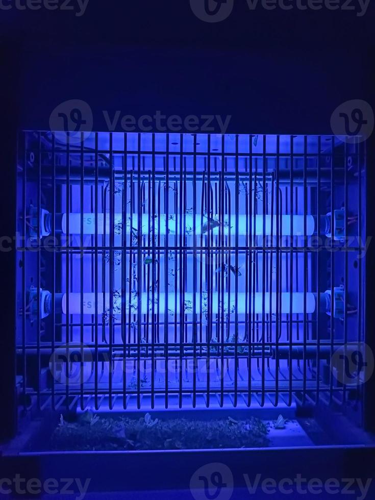 electric mosquito and insect zapper with blue lights turned on photo