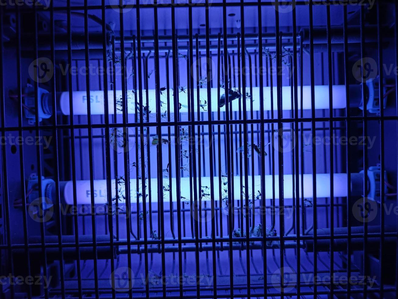 electric mosquito and insect zapper with blue lights turned on photo