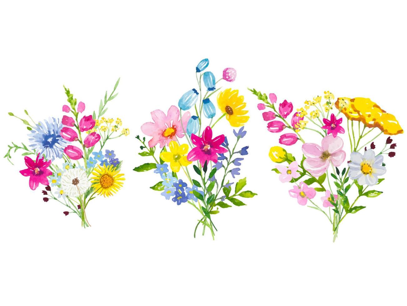 Set of bouquets with meadow  flowers and leaves. Watercolor vector