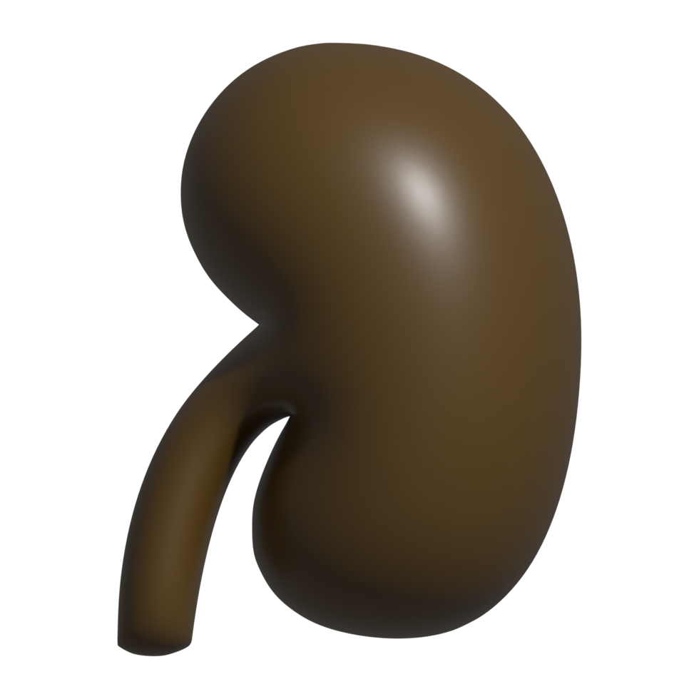 3d icon of kidney png