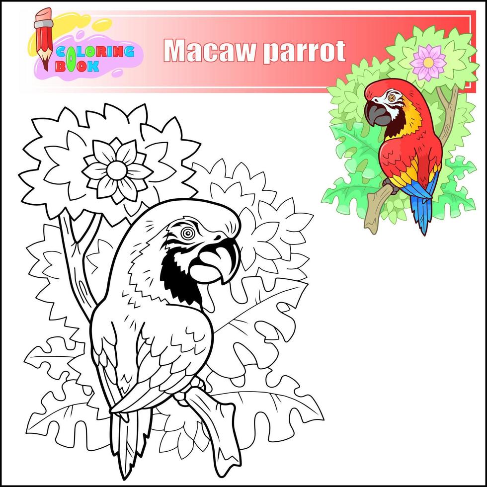 cartoon funny macaw parrot coloring book vector
