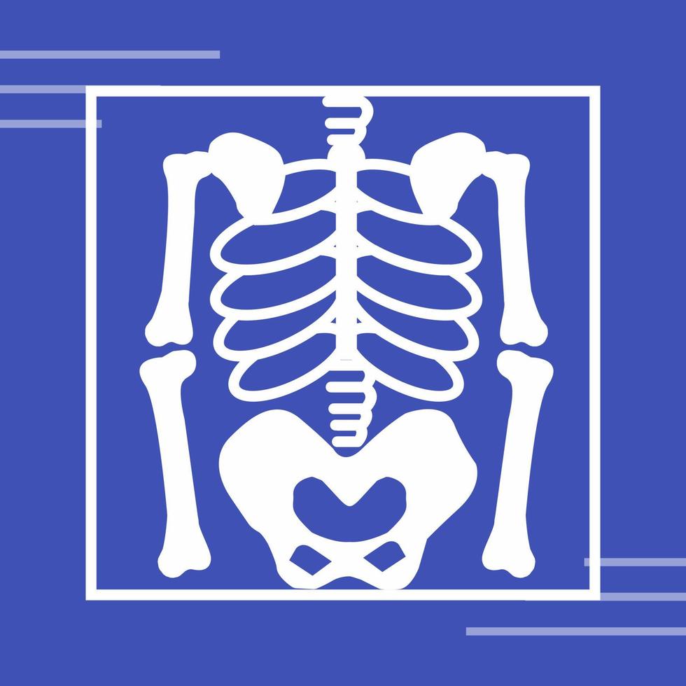 Skeleton Vector Icon