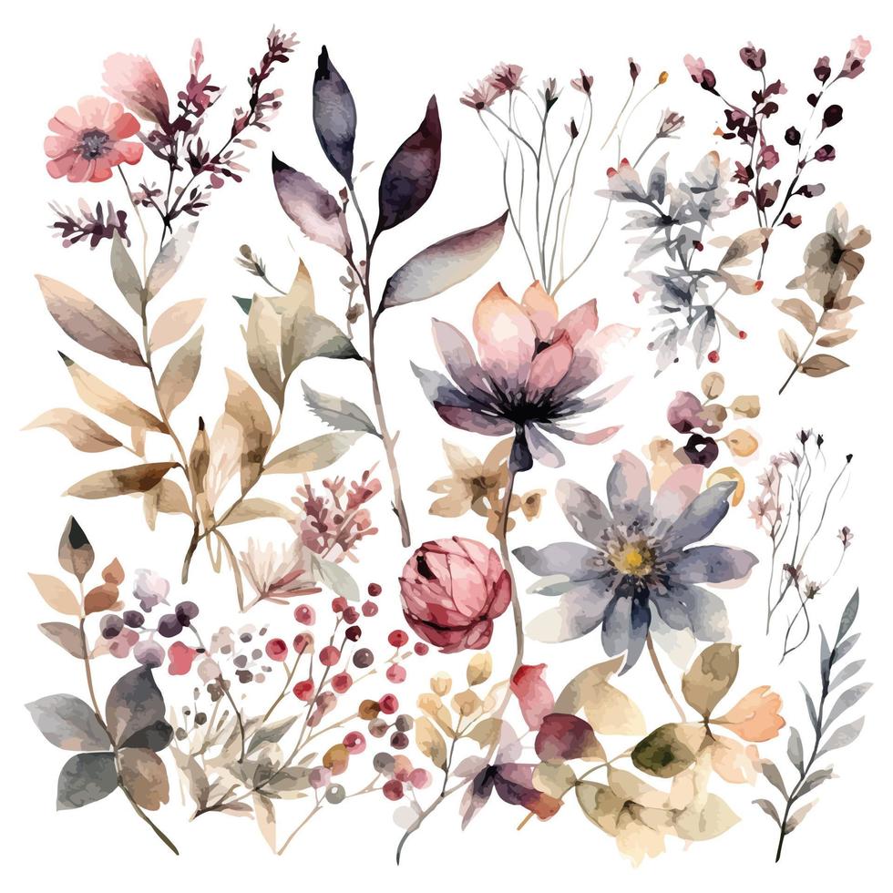 Set of watercolor flowers leaves, and twigs on a white background vector