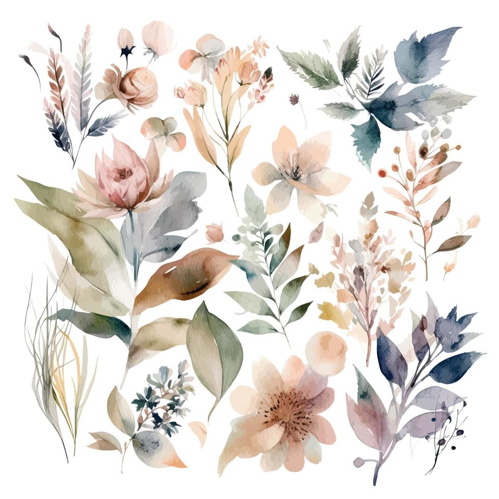 Set of watercolor flowers leaves, and twigs on a white background vector