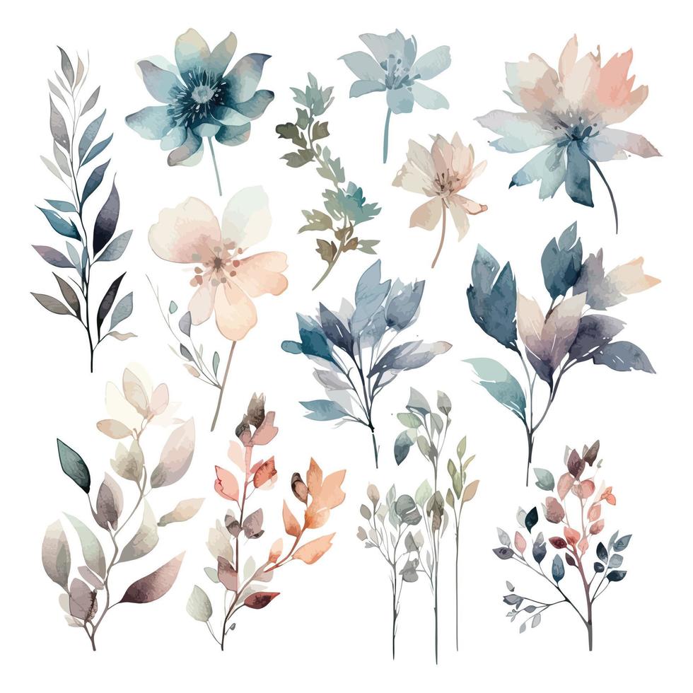Set of watercolor flowers leaves, and twigs on a white background vector