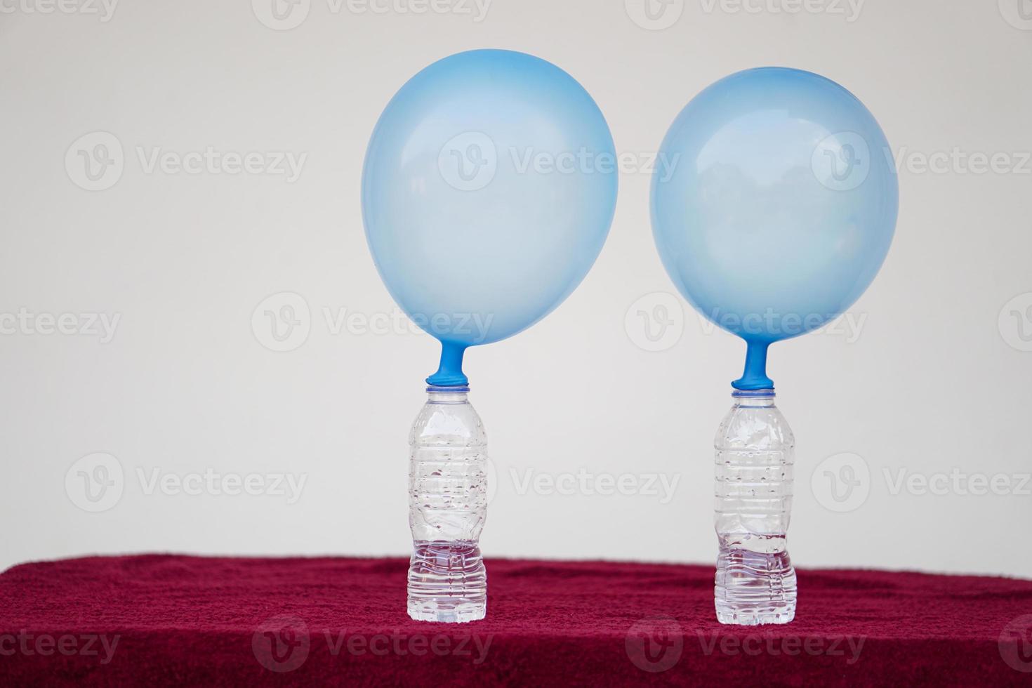 Blue inflated balloons on top of transparent test bottles. Concept, science experiment about reaction of chemical substance, vinegar and baking soda that cause balloon inflat. Last step of experiment photo