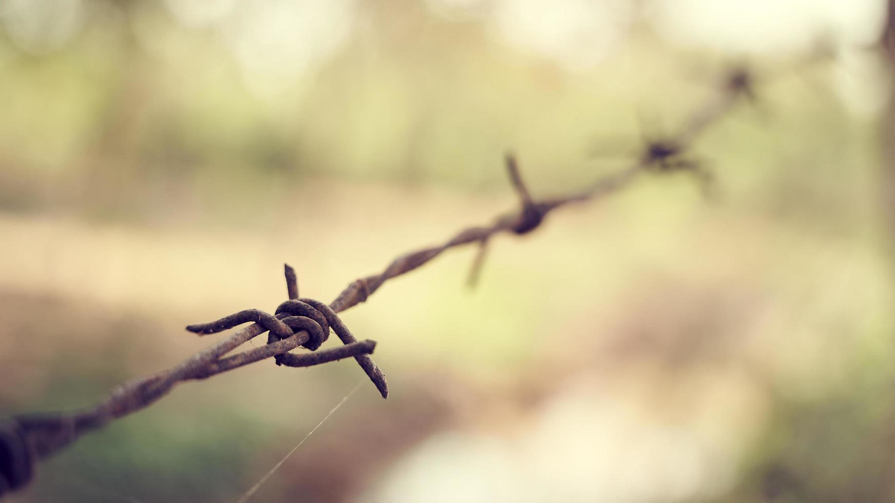 concept of close up rusty barbed wire fence in blur background photo